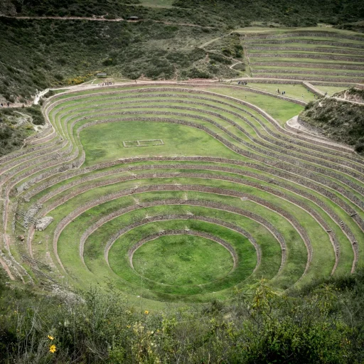 MORAY